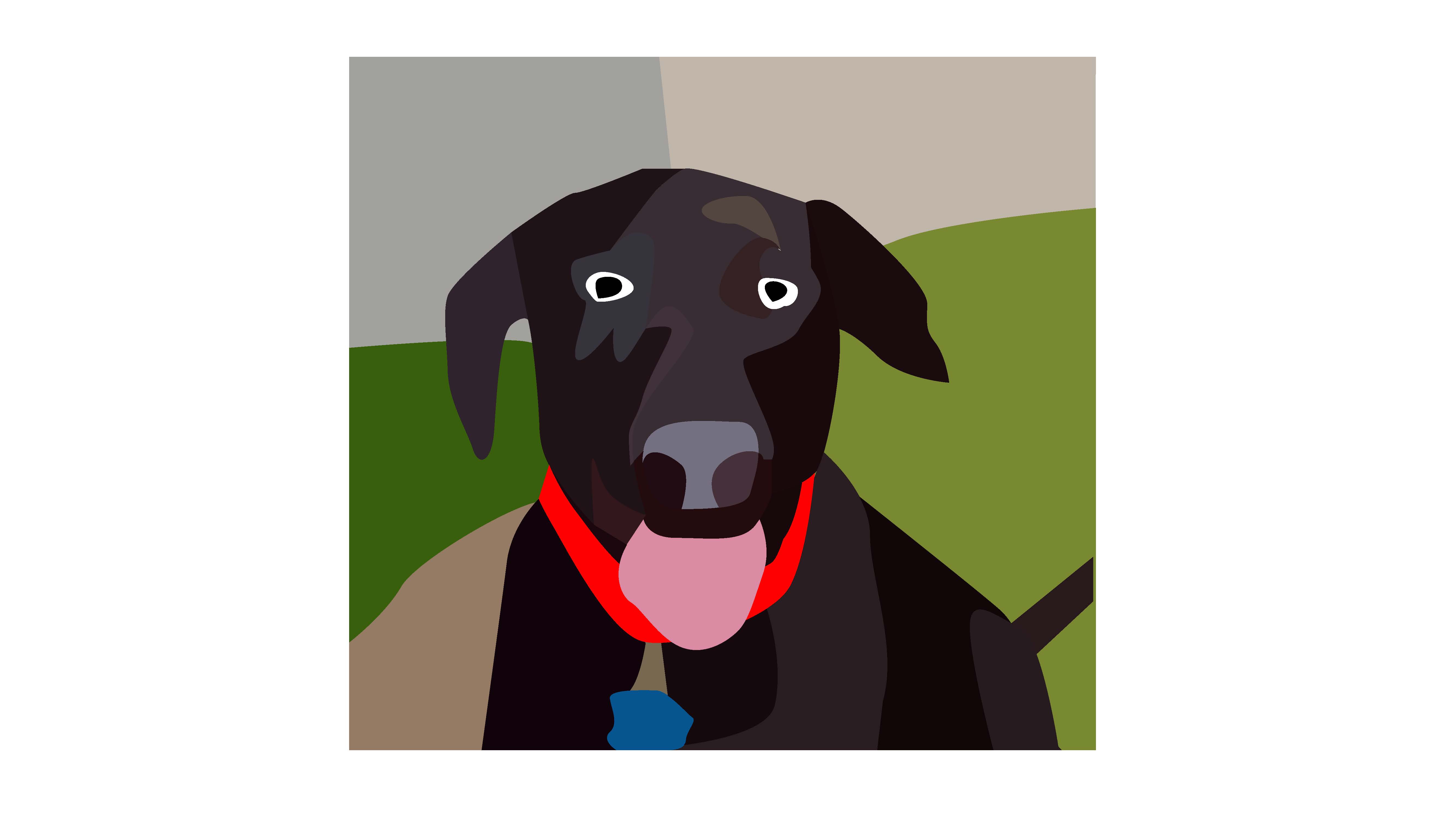 Labrador Amaya #39 s drawings